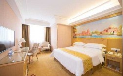 分宜维也纳酒店有多少房间数（分宜维也纳ktv电话）