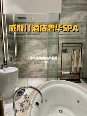 合肥威斯汀spa多少钱（合肥威斯汀酒吧）-图3