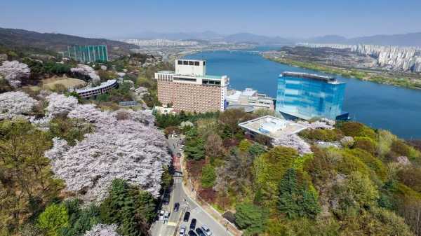 韩国华克山庄酒店值多少钱（韩国华克山庄免税店）-图2