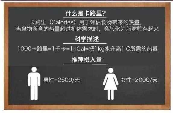 人跑800消耗多少卡路里（人跑800消耗多少卡路里正常）-图3