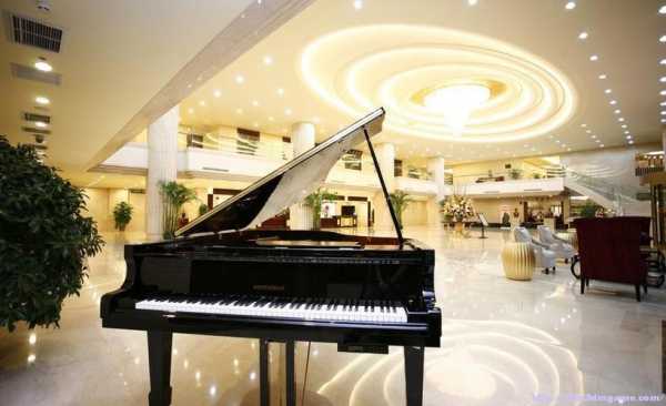 去酒店弹钢琴多少钱（去酒店弹钢琴多少钱一次）-图1