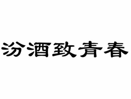 致青春45度酒多少钱（致青春白酒多少钱）-图3