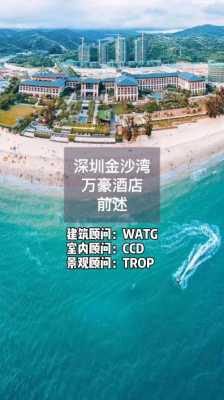 深圳金沙湾酒店多少钱（深圳市金沙湾大酒店有限公司）-图2