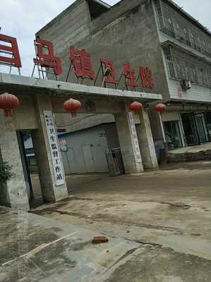 白马镇酒店多少钱（白马镇酒店多少钱一桌）-图3