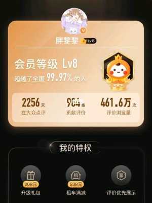 点评lv8有多少（点评 v8）-图3