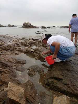 日照渔家赶海多少钱（日照赶海农家乐）-图1