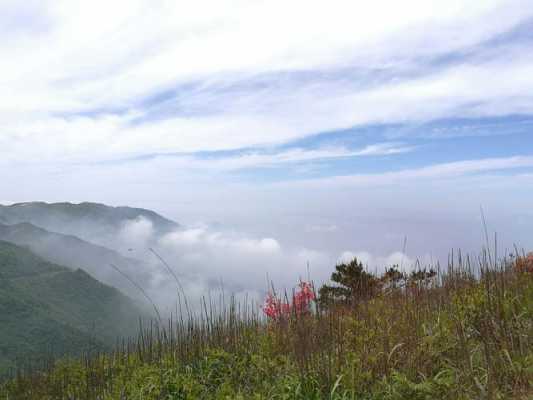 金华北山林场门票多少钱（金华北山景区）-图1