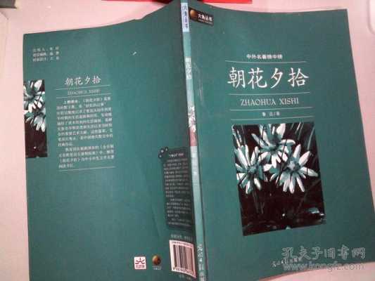 朝花夕拾多少钱（朝花夕拾多少钱一本完整版）-图3