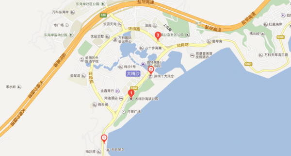 大梅沙到东门老街多少钱（东门到大梅沙怎么坐地铁）-图3