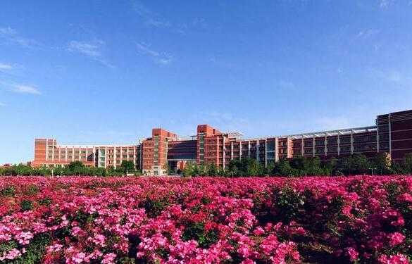 山东科技大学黄岛校区多少人（山东科技大学黄岛校区占地）-图3