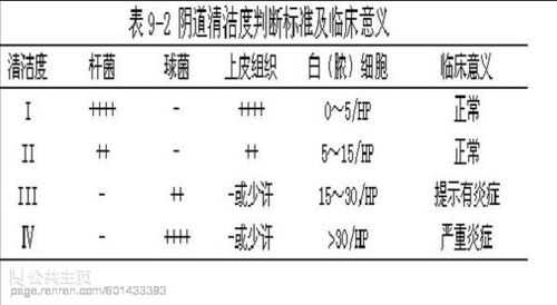 IN清洁度是多少（清洁度iii是什么意思）-图2