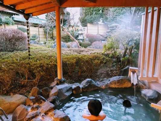 汤本富士屋酒店温泉多少钱（汤屋温泉温度）-图1