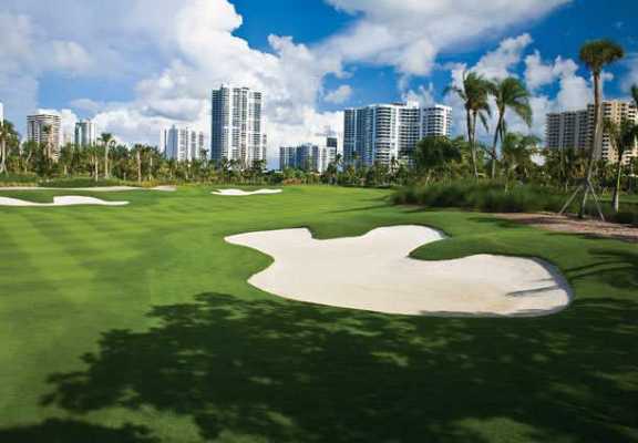 迈阿密有多少个高尔夫球场（迈阿密购物中心）-图2